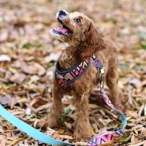 Meet your Posher, Emerson